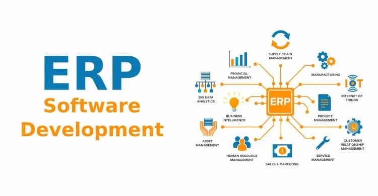 Featured image for ERP Development Services by Black Whale Dev
