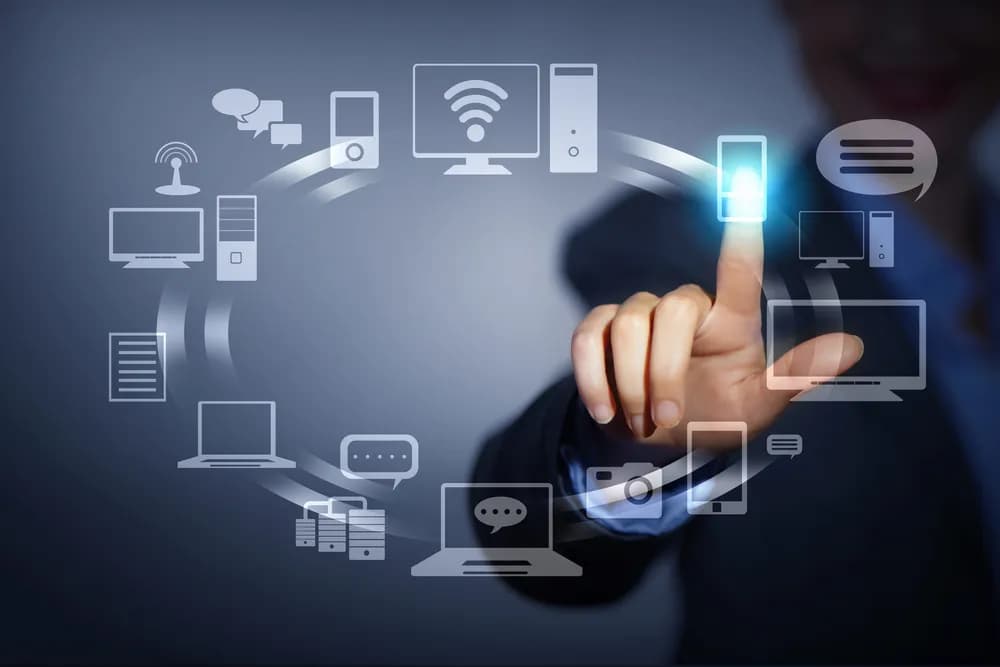 Black Whale Dev: Your Premier IT Solutions Partner