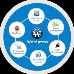 WordPress development